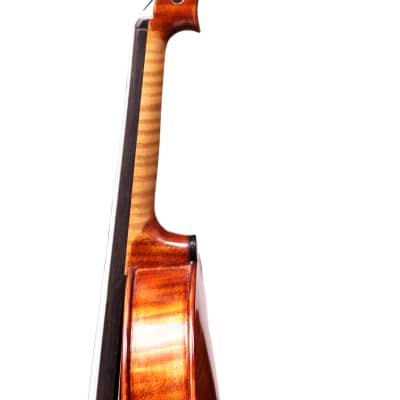 Nelu Dan Violin 4/4 Hand-made in Romania 2021 #163 image 8
