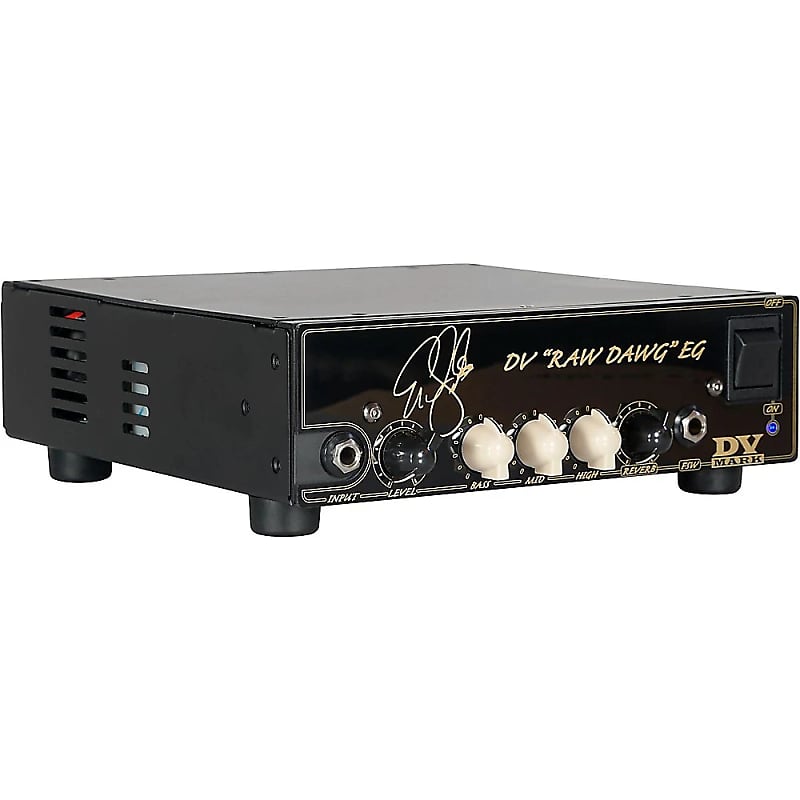 DV Mark Raw Dawg EG 250-Watt Guitar Amp Head image 2