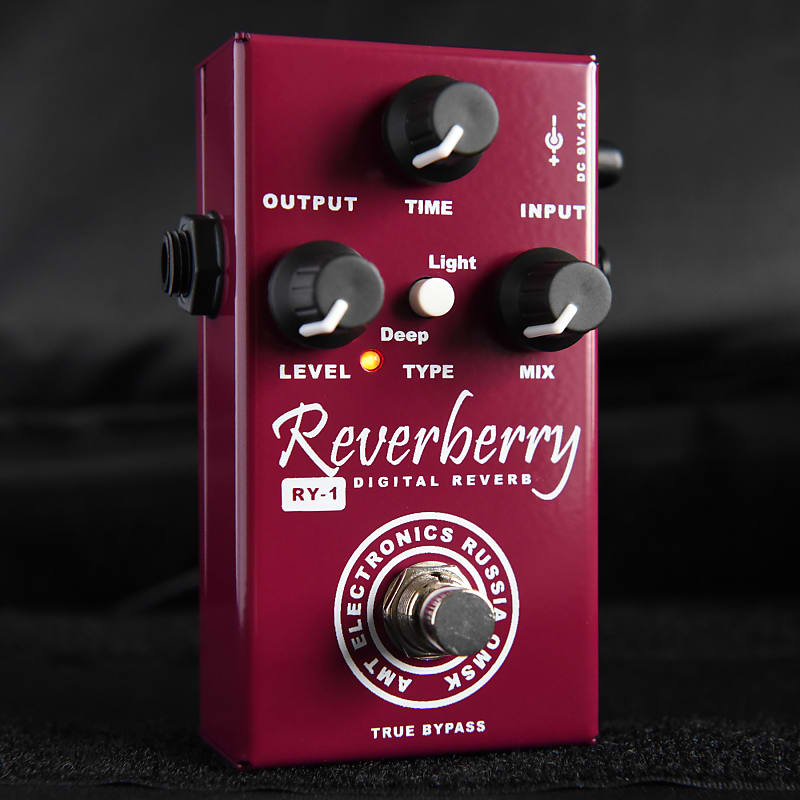 AMT Electronics RY-1 Reverberry Digital Reverb Pedal | Reverb