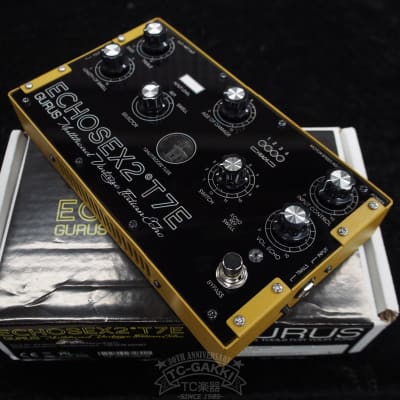 Gurus Amp ECHOSEX 2゜T7E for sale