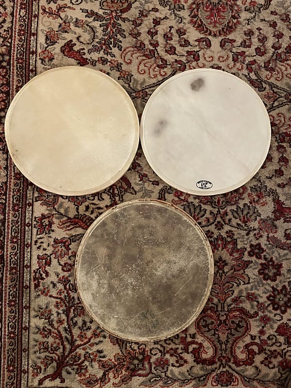 set of 8 vintage calf skin drum heads 20’s 30’s 40’s 50’s Reverb