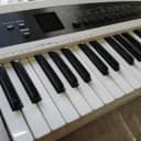 Roland AX Synth keytar White / Synthonia Libraries