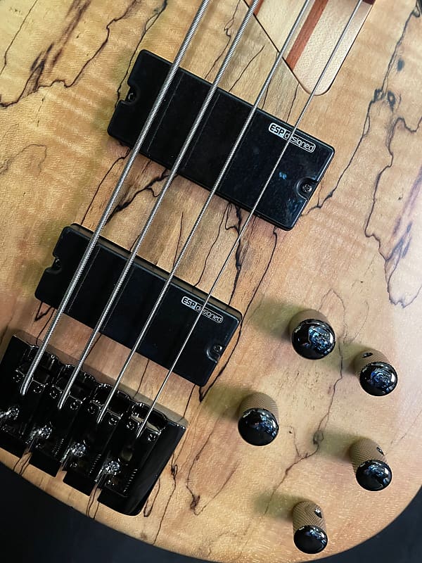 ESP LTD B-204SM | Reverb