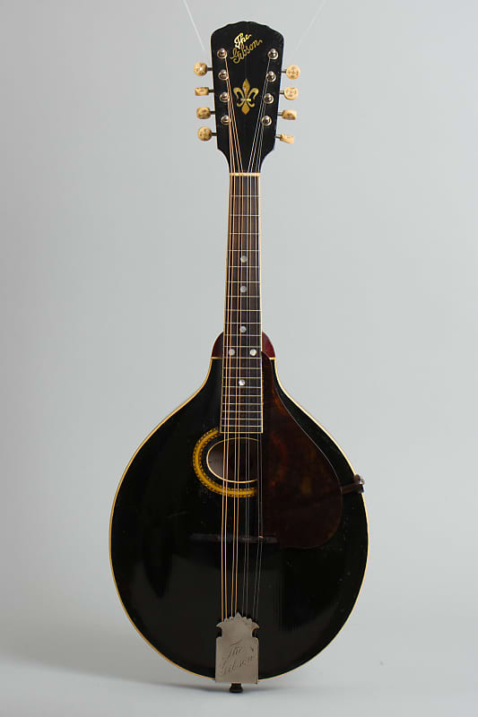 Gibson A-4 Carved Top Mandolin (1909), ser. #9077, period | Reverb