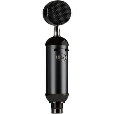 Blue Microphones Spark SL Blackout Large-diaphragm Condenser Microphone image 6