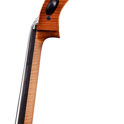 Professional Montagnana Cello 4/4 - Hand-Made in Romania #60 image 8