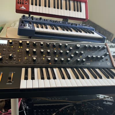 Moog Subsequent 37 Analog Synth 2017 - Present - Black