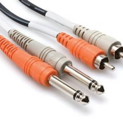 Hosa CPR-201 Stereo Interconnect - Dual 1/4 in TS to Dual RCA Cable, 3.3 feet