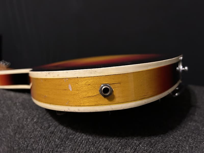 1960's Stewart Burns Offset Style Hollowbody Guitar Sunburst