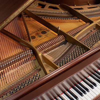 Chickering Model 125 Baby Grand Piano - Made in USA 1957 | Reverb