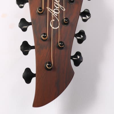 Agile Renaissance  Left Handed 8 String Fan Fret Acoustic Guitar 82730 RN EQ NA image 4
