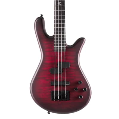 New! Spector Core 4 Semi-Hollow Quilt Top Fretless 4-String Bass - Fishman  Piezo | Reverb