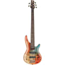 Ibanez 2021 SR1605DW Premium 5-String Bass Guitar - Autumn Sunset Sky