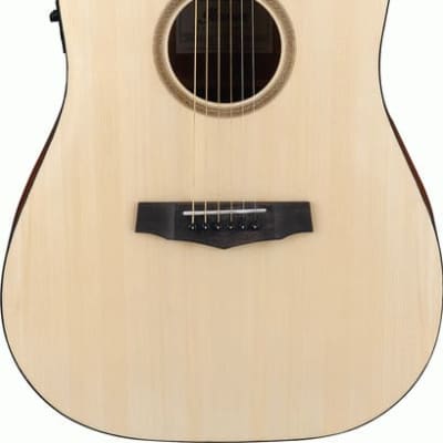 Ibanez PF10CE OPN Acoustic Guitar for sale