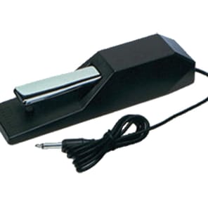 Roland DP-10 Piano-style Sustain Pedal with Half-damper Control - Bill's  Music