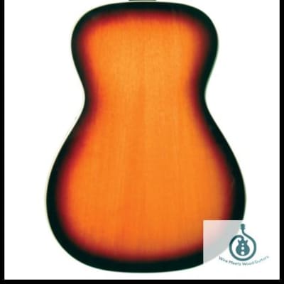 Gold Tone PBS Paul Beard Signature-Series Squareneck Mahogany Resonator Guitar w/case image 2