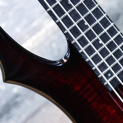ESP LTD F-1005 See-Thru Black Cherry Sunburst 5-String Electric Bass #W23060302 image 9