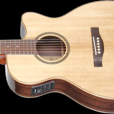 Teton STG100CENT Spruce Cutaway Guitar Acoustic/Electric EXTRAS Help Support Small Business , Thanks image 6