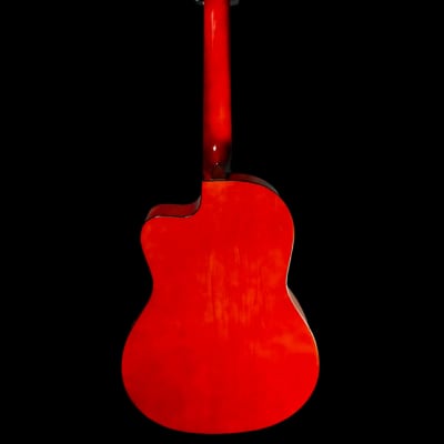 Used Indiana IC-25-CE Classical Guitar w/Bag TFW1015 image 6