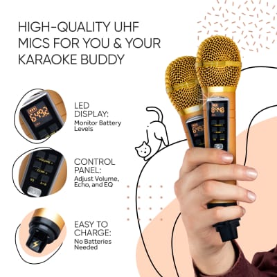 MASINGO Portable Kitty Cat Karaoke Machine for Kids, Children, and Toddlers with 2 Wireless Bluetooth Microphones, PA Speaker System, Includes Singer Vocal Removal Mode for Boys and Girls, Spinto G3 image 3