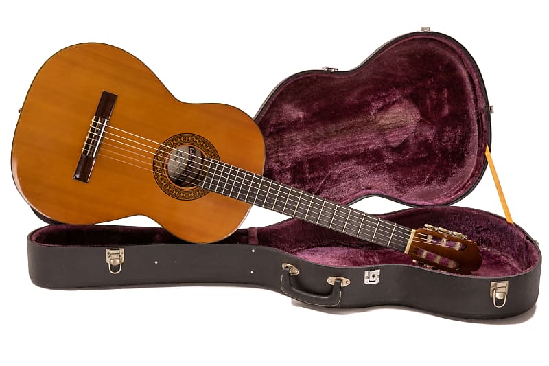 ギター granada W-150 稀少 Fernandes W-150 アコースティック