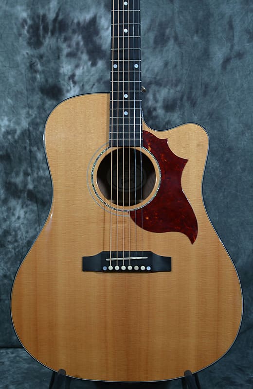 Gibson Hummingbird Walnut M (Avant Garde AG) 2018 - 2019 | Reverb