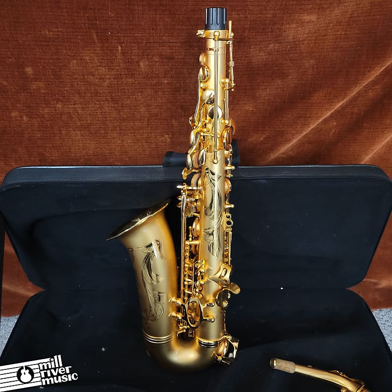 Steve Goodson Model Alto Saxophone Used w/ Case image 1