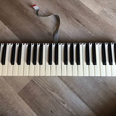 Korg MS2000 Keyboard Assembly - Prob works - READ!! - Replacement Parts