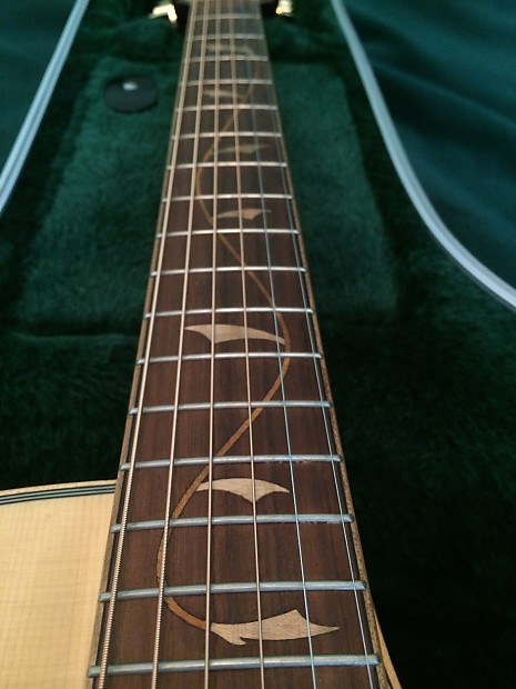 Ibanez Vine acoustic-electric solid wood beauty image 1