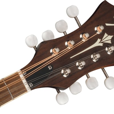 Fender PM-180E Mandolin. Walnut Fingerboard, Aged Cognac Burst image 6