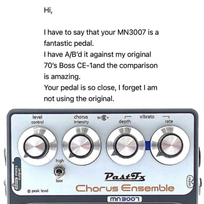 ギター PastFX chorus ensemble mn3007 PastFx Chorus Ensemble MN3007 BBD Ltd Edition Pedal Picasso