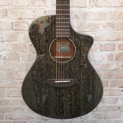 Rainforest S Concert Breedlove Acoustic Electric Guitar (King of Prussia, PA)  (TOP PICK) image 2