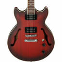 Ibanez AM53SRF - AM Artcore - Semi-Hollowbody Electric Guitar - Sunburst Red Flat