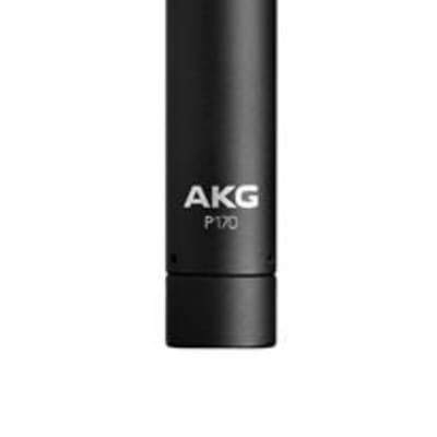 AKG P170 Small Diaphragm Cardioid Condenser Microphone