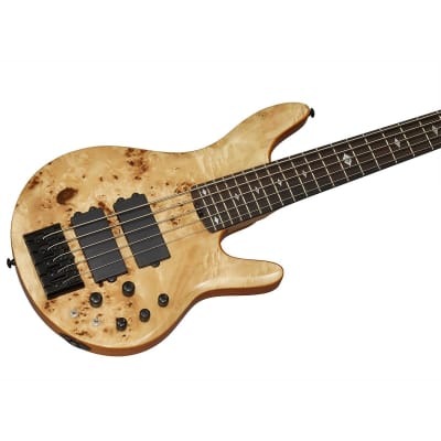 Michael Kelly Pinnacle 5 5-String Bass Guitar (Hollywood, CA) image 7