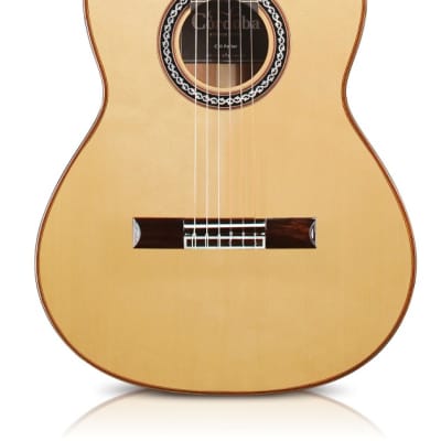 Cordoba C10 Parlor - ⅞  Size Classical Guitar - Solid Spruce Top, Solid Indian Rosewood back/sides image 2