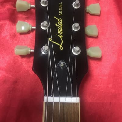 Grass Roots by ESP G-LP-50s Standard Type 2013 Electric Guitar image 6
