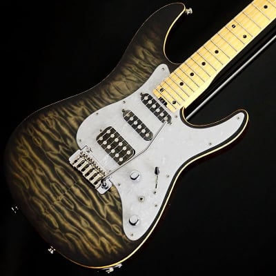 SCHECTER SD-II-24-AS-VTR/KI Willkinson VG300 Mod. (BKNS/M
