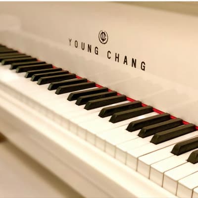 Gorgeous grand piano Young Chang G-150 image 5