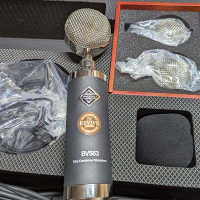 Revive Audio Modified: Alctron Audio BV563, Multi-Capsule Tube Condenser microphone, Gold Lion, Top Shelf image 10