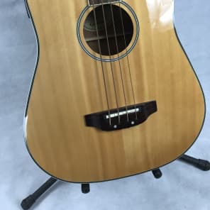 Epiphone el outlet segundo acoustic bass