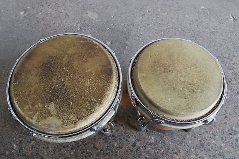 Pearl ボンゴ 　Professional Percussion Pearl Professional Percussion Solid Oak Bongo Drums | Reverb