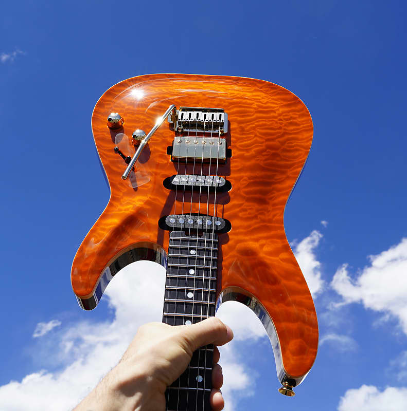 Schecter diamond series case online