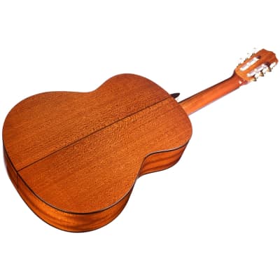 Cordoba C5 SP Nylon String Classical Acoustic Guitar, Solid Spruce Top, Natural, New Free Shipping image 3