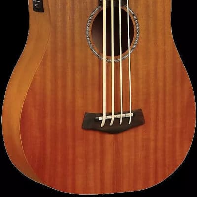 Gold Tone M-Bass25FL 25-Inch Scale Fretless 4-String Acoustic-Electric MicroBass w/Hard Case image 1