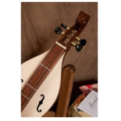 Roosebeck DMDS4 | 34" 4-String Emma Mountain Dulcimer. New with Full Warranty! image 8