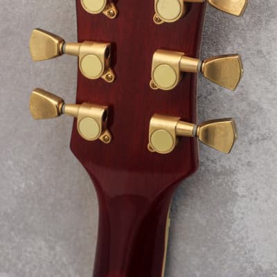 Blitz by Aria Pro II 'Leopard' BLP-450 Honeyburst 2016 | Reverb