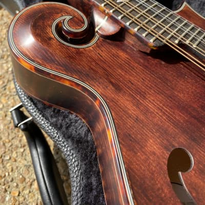 Micawber Cheverly Mandolin image 4