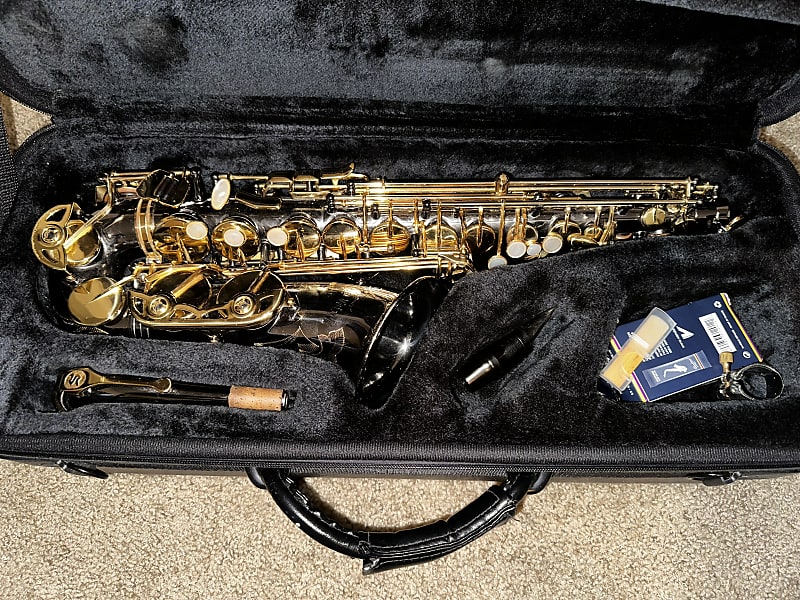 Selmer La Voix II Alto Saxophone | Reverb