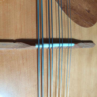 スズキ マンドチェロ MC-836 SUZUKI MANDOCELLO / スズキ マンドチェロ MC-836 | 楽器